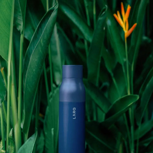 LARQ PureVis water bottle